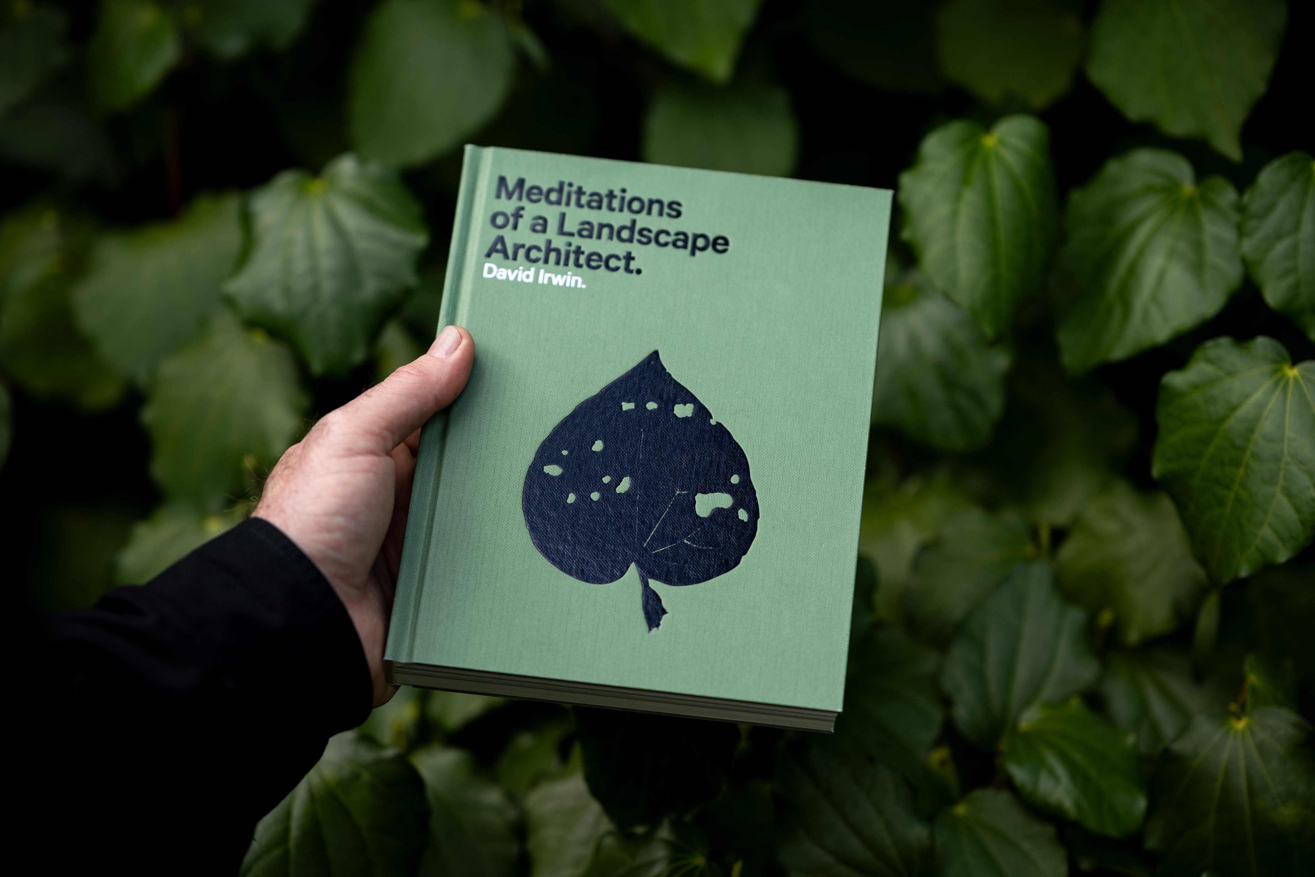 Meditations of a Landscape Architect
