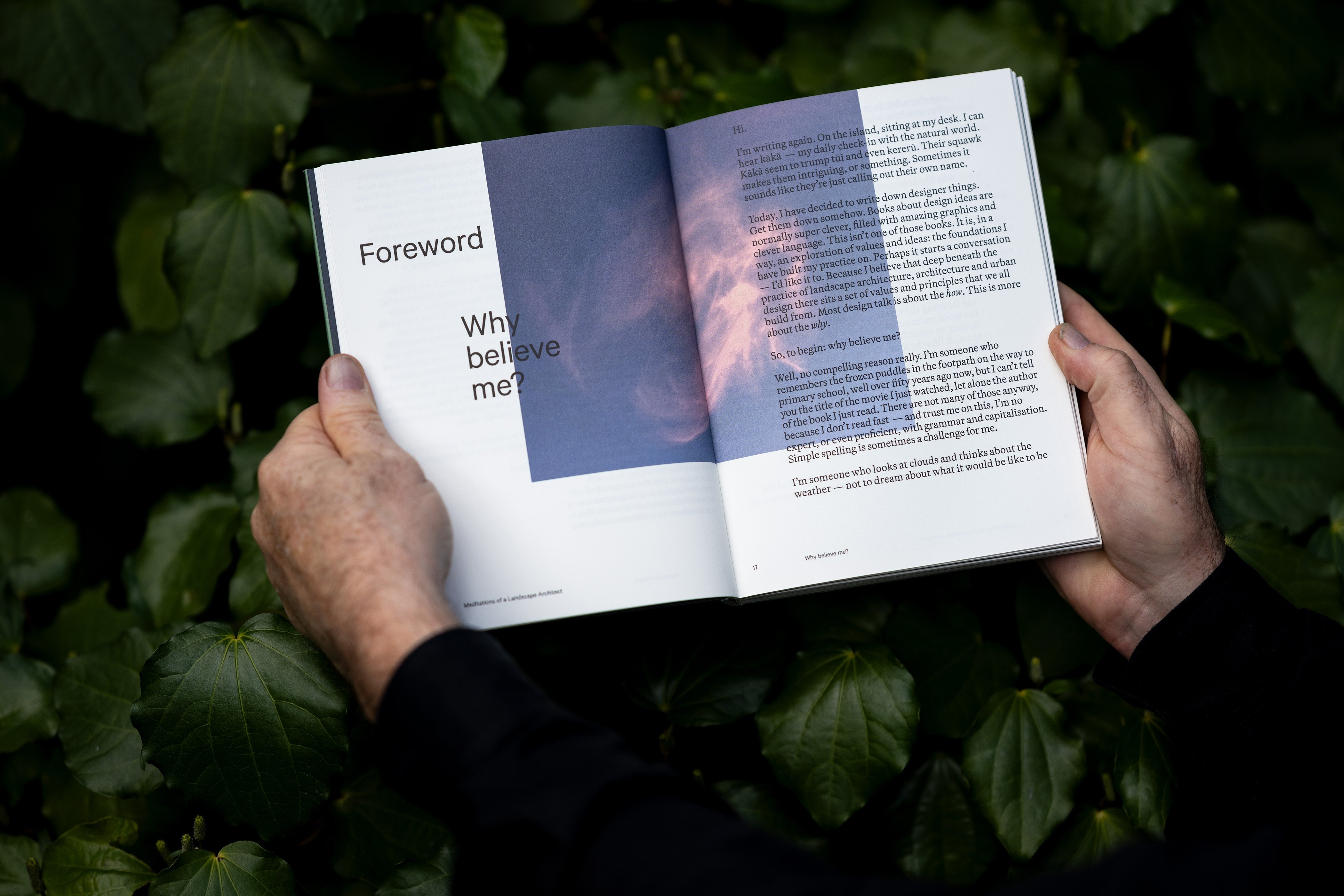 Meditations of a Landscape Architect - Image 3