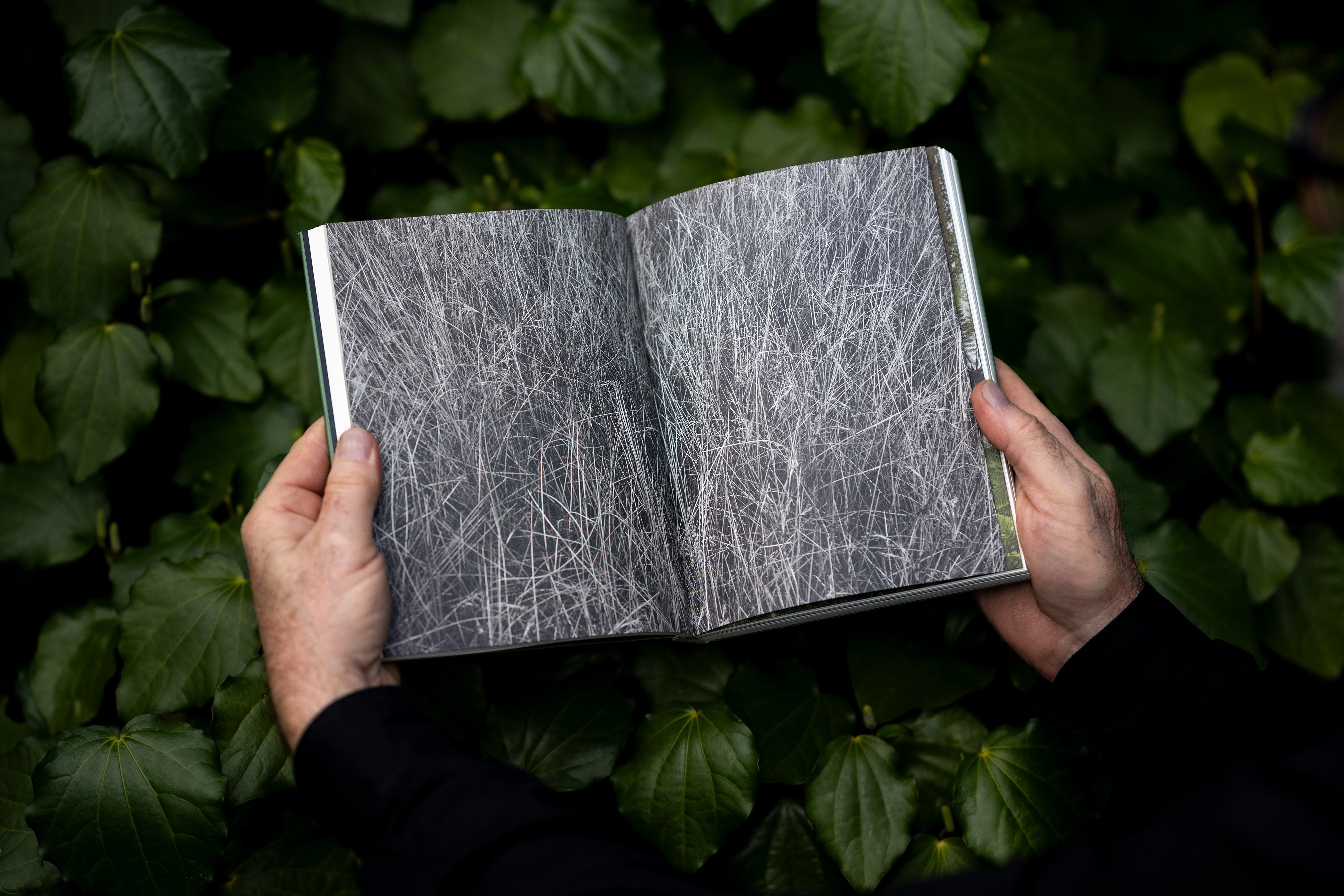 Meditations of a Landscape Architect - Image 4